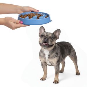 Outward Hound Slo Bowl MEDIUM Blue Slow Feeder Anti Bloat Dog French Bulldog